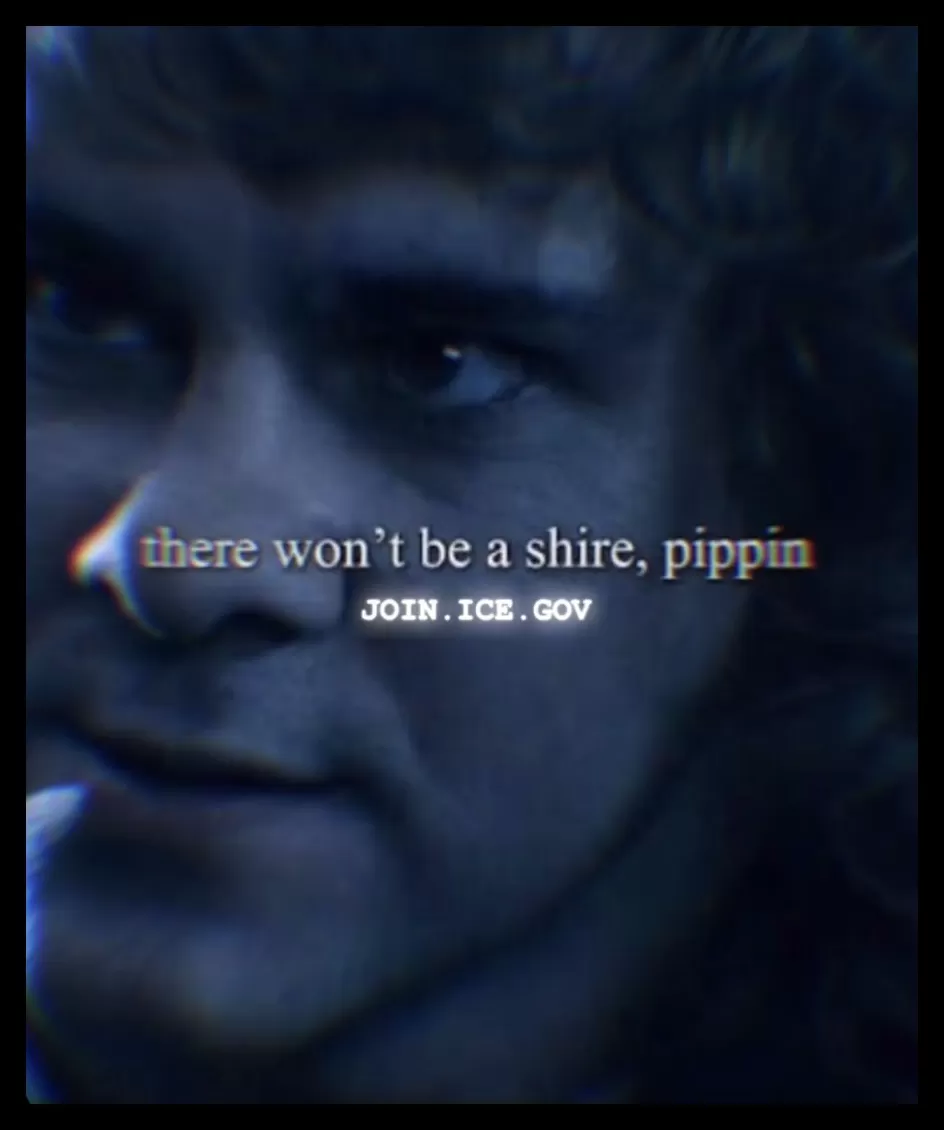 澎湃思想周报丨美国人文博士大裁撤;马斯克为何喜爱《指环王》-第4张图片- 澎湃思想周报丨美国人文博士大裁撤;马斯克为何喜爱《指环王》-第4张图片-