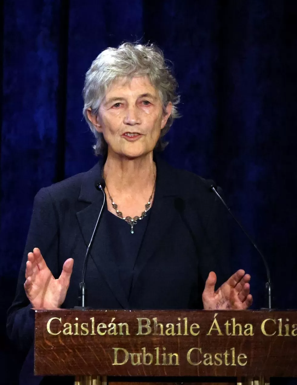 质疑欧盟，批评特朗普……爱尔兰将迎来一位左翼总统-第1张图片-