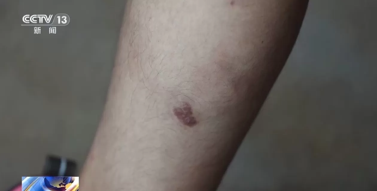 央视对话从缅甸电诈园脱险高中生胡一啸及其父亲，揭秘高薪淘金陷阱-第12张图片-