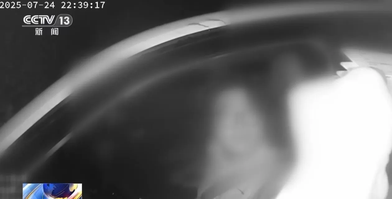 央视对话从缅甸电诈园脱险高中生胡一啸及其父亲，揭秘高薪淘金陷阱-第21张图片-