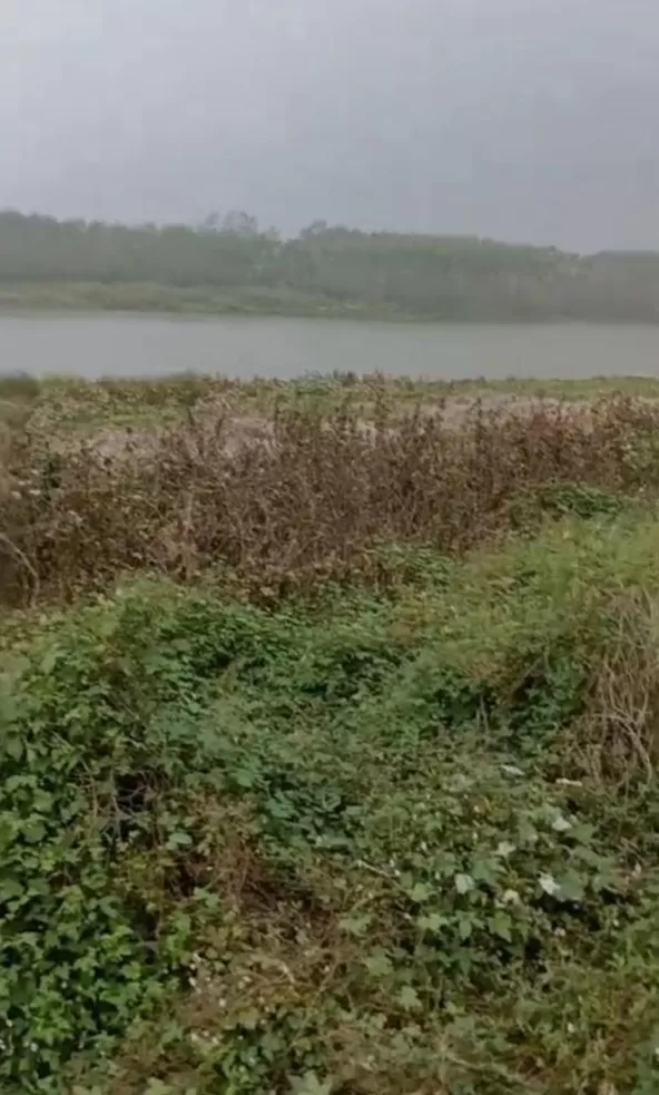 男子夜晚钓鱼被枪击:4名嫌疑人被抓,先要谅解书才愿承担治疗费-第1张图片- 男子夜晚钓鱼被枪击:4名嫌疑人被抓,先要谅解书才愿承担治疗费-第1张图片-