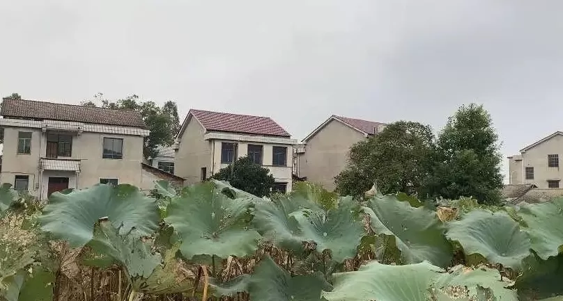 “守村人”罗几之死-第11张图片- “守村人”罗几之死-第11张图片-