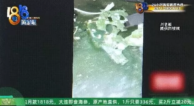 存了代码的硬盘被泡水,老板:我是一个有梦想的人,代码值150万-第3张图片- 存了代码的硬盘被泡水,老板:我是一个有梦想的人,代码值150万-第3张图片-