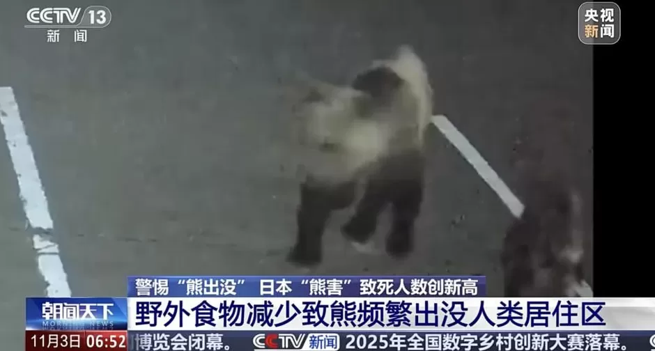 日本“熊害”致死人数创新高中国驻札幌总领馆提醒:警惕熊出没-第4张图片- 日本“熊害”致死人数创新高中国驻札幌总领馆提醒:警惕熊出没-第4张图片-