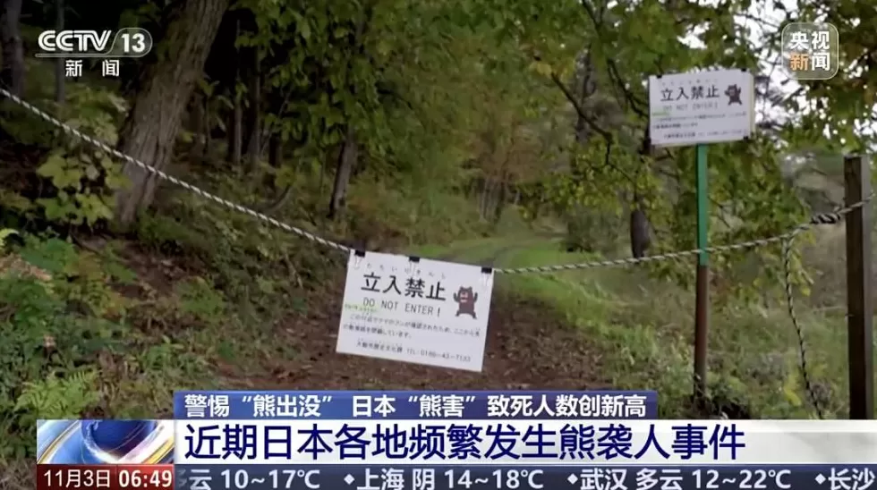 日本“熊害”致死人数创新高中国驻札幌总领馆提醒:警惕熊出没-第2张图片- 日本“熊害”致死人数创新高中国驻札幌总领馆提醒:警惕熊出没-第2张图片-