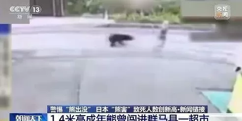 日本“熊害”致死人数创新高中国驻札幌总领馆提醒:警惕熊出没-第3张图片- 日本“熊害”致死人数创新高中国驻札幌总领馆提醒:警惕熊出没-第3张图片-