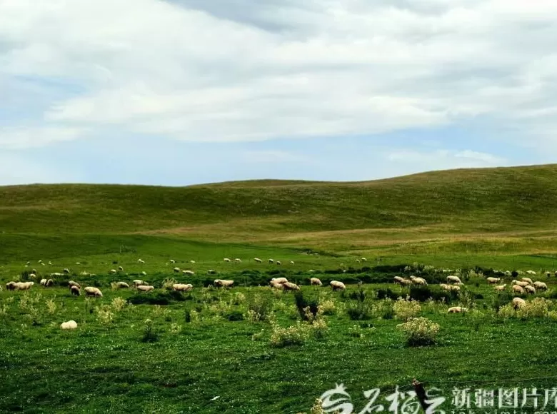 祖国大家庭的温暖丨牧区转型走出双赢路-第1张图片- 祖国大家庭的温暖丨牧区转型走出双赢路-第1张图片-