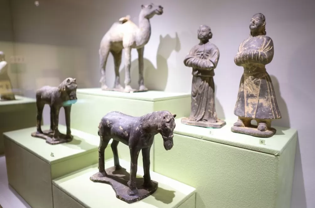 一周展讯 | 上海双年展听到蜜蜂, 广东美术展解读岭南-第4张图片- 一周展讯 | 上海双年展听到蜜蜂, 广东美术展解读岭南-第4张图片-