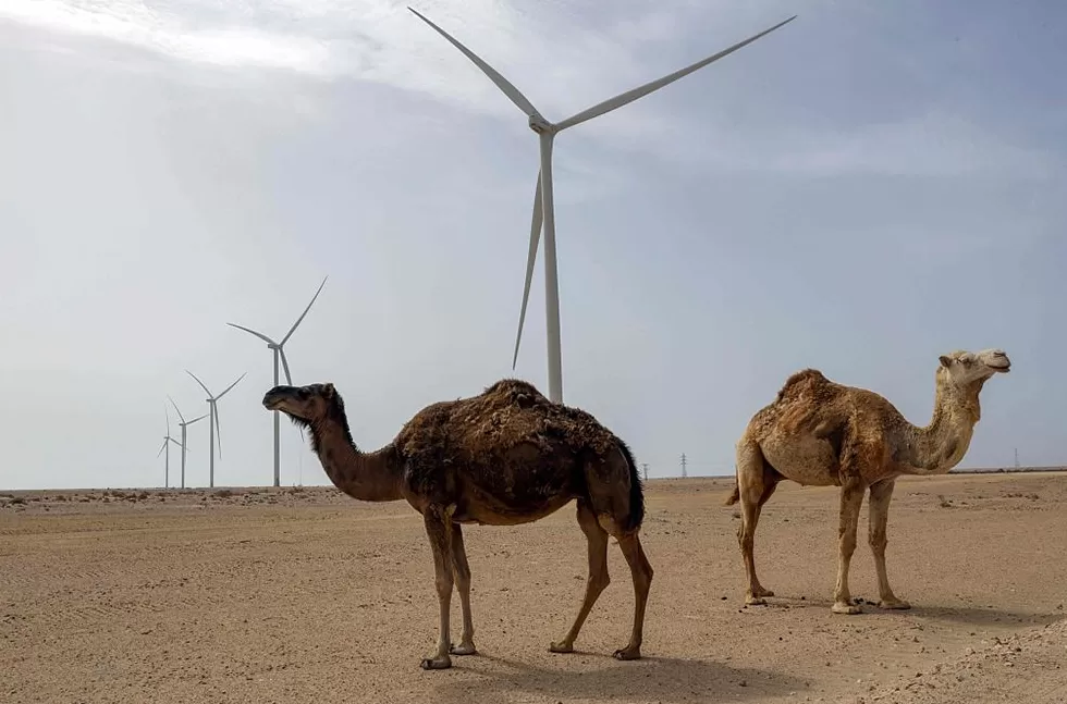 释新闻|想拿诺奖的特朗普为何又盯上了这两国?-第3张图片- 释新闻|想拿诺奖的特朗普为何又盯上了这两国?-第3张图片-