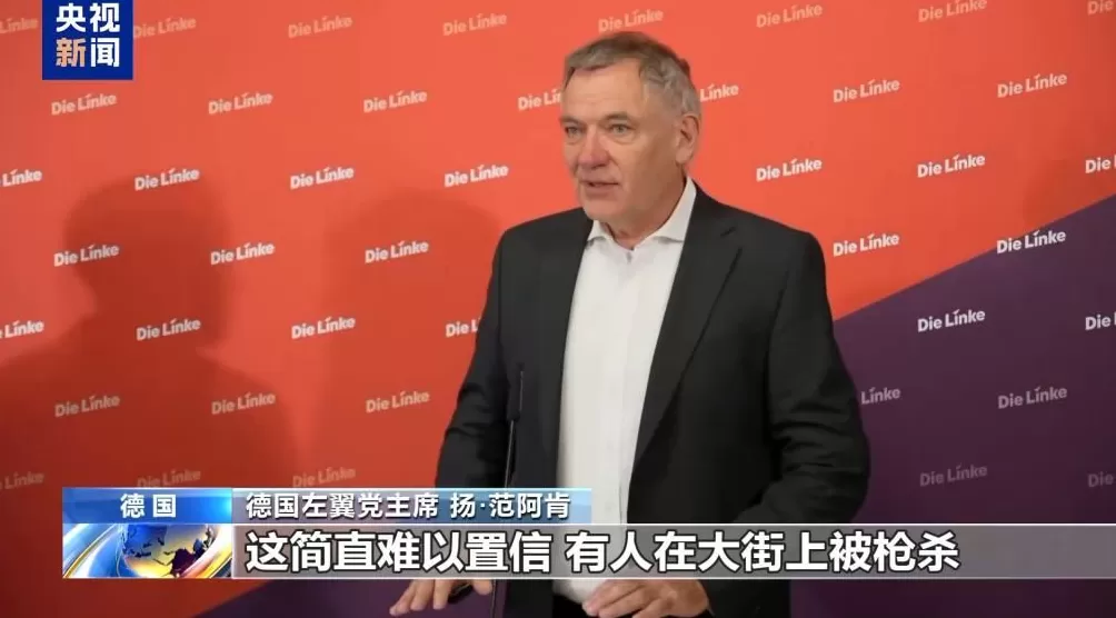 德国左翼党主席呼吁德国政府对以色列施压-第1张图片-