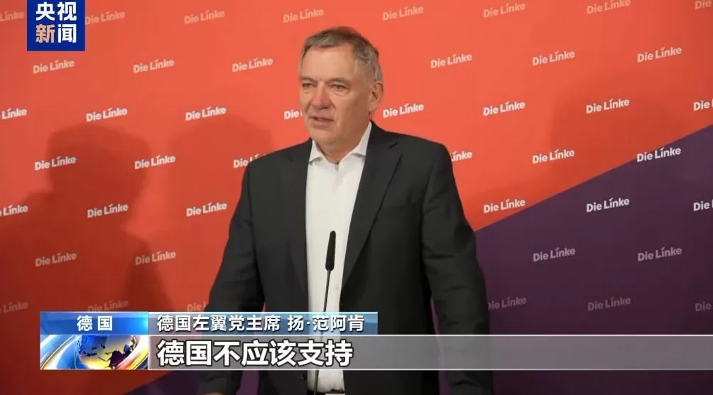 德国左翼党主席呼吁德国政府对以色列施压-第3张图片-