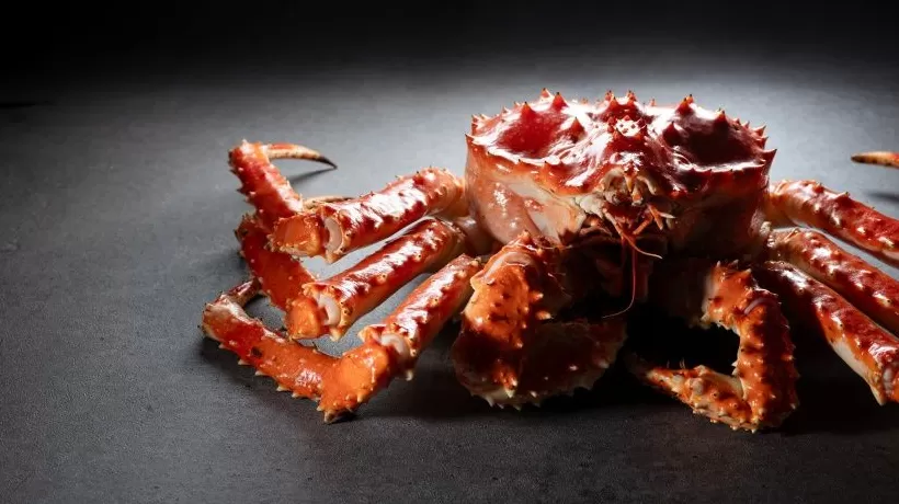 南京大学后勤通报食堂供应“999元帝王蟹”:餐饮企业已对菜式进行调整-第1张图片- 南京大学后勤通报食堂供应“999元帝王蟹”:餐饮企业已对菜式进行调整-第1张图片-