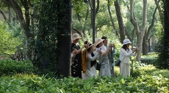 情绪经济视角下的“出片文化”:身份构建与去远寻视-第2张图片- 情绪经济视角下的“出片文化”:身份构建与去远寻视-第2张图片-