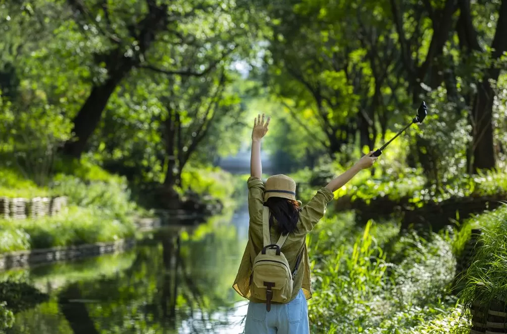 情绪经济视角下的“出片文化”:身份构建与去远寻视-第1张图片- 情绪经济视角下的“出片文化”:身份构建与去远寻视-第1张图片-