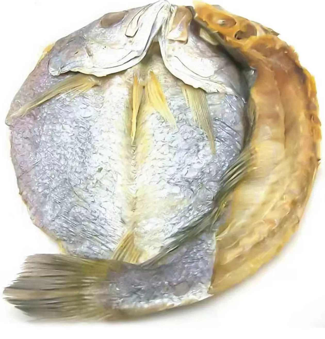 高子华︱西北风起，黄鱼鲞香-第5张图片-