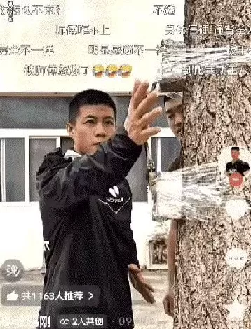 通背拳传人被几个耳光KO了,算不算传武的至暗时刻?-第14张图片- 通背拳传人被几个耳光KO了,算不算传武的至暗时刻?-第14张图片-