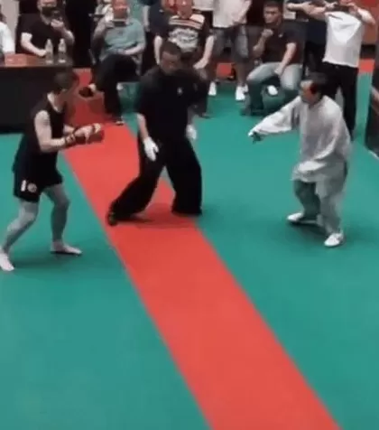 通背拳传人被几个耳光KO了,算不算传武的至暗时刻?-第22张图片- 通背拳传人被几个耳光KO了,算不算传武的至暗时刻?-第22张图片-