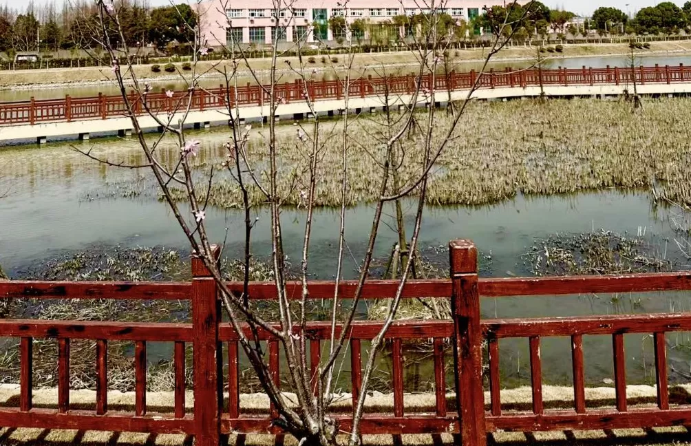 上海旅居⑧|俄罗斯人马克:有时太快了感觉事情没真正发生过-第5张图片- 上海旅居⑧|俄罗斯人马克:有时太快了感觉事情没真正发生过-第5张图片-