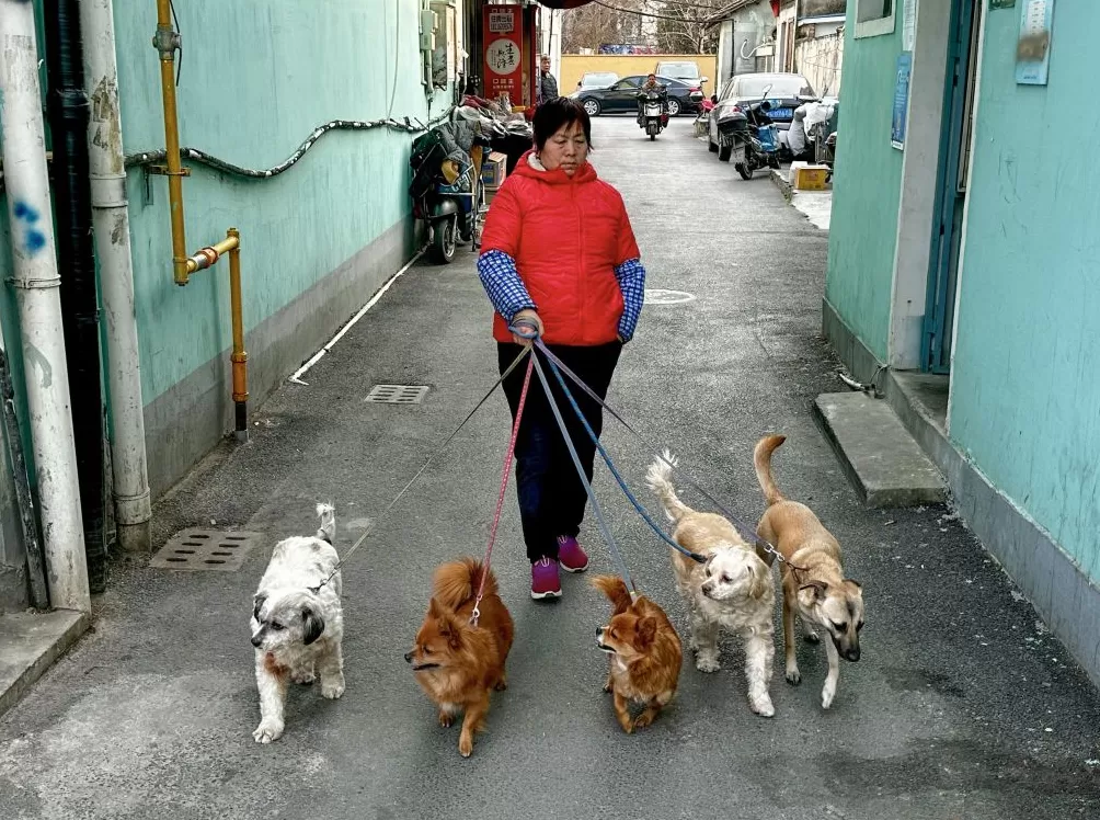 上海旅居⑧|俄罗斯人马克:有时太快了感觉事情没真正发生过-第6张图片- 上海旅居⑧|俄罗斯人马克:有时太快了感觉事情没真正发生过-第6张图片-