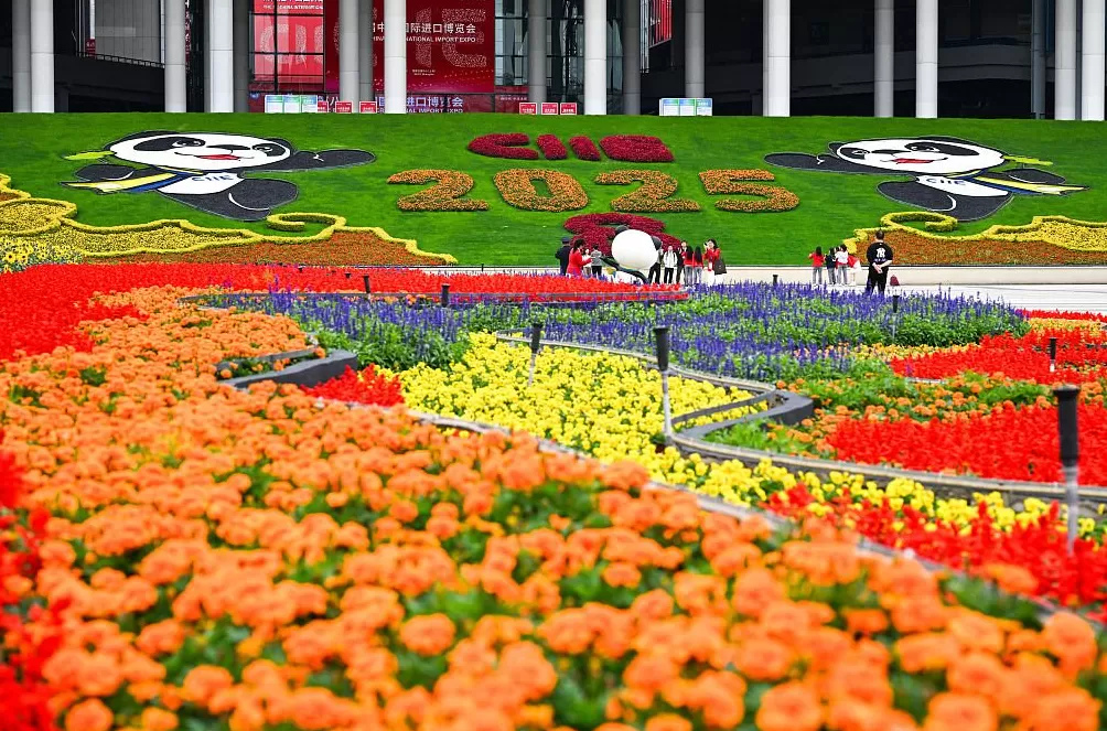 何为进博|盛会八载,答案五彩斑斓-第4张图片- 何为进博|盛会八载,答案五彩斑斓-第4张图片-