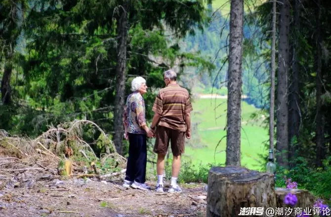 当老年人们都去“上学”了,“老”似乎也没那么焦虑-第10张图片- 当老年人们都去“上学”了,“老”似乎也没那么焦虑-第10张图片-