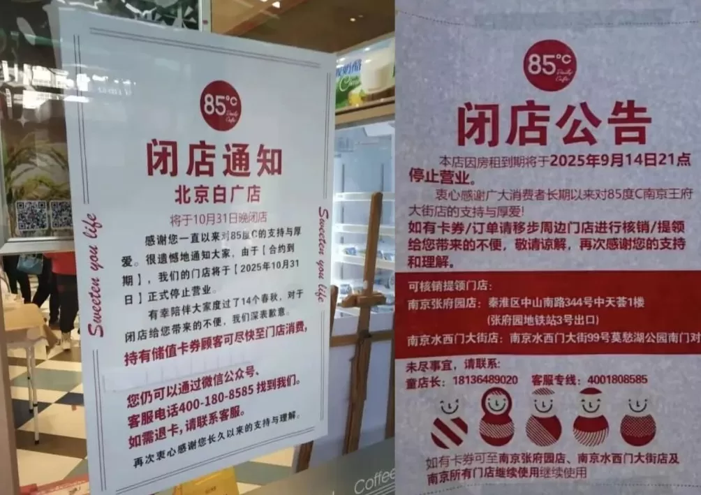 35元一个的“沪币”面包,在四线小城杀疯了-第11张图片- 35元一个的“沪币”面包,在四线小城杀疯了-第11张图片-