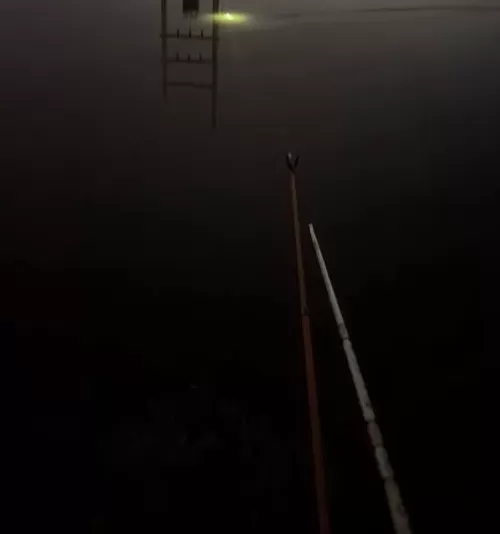 河南男子深夜野外钓鱼落水溺亡，家属起诉水利局索赔100万，法院判了-第1张图片-