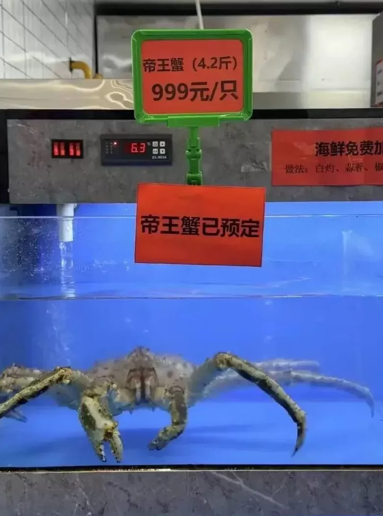 学校食堂的帝王蟹,走为上策-第2张图片- 学校食堂的帝王蟹,走为上策-第2张图片-
