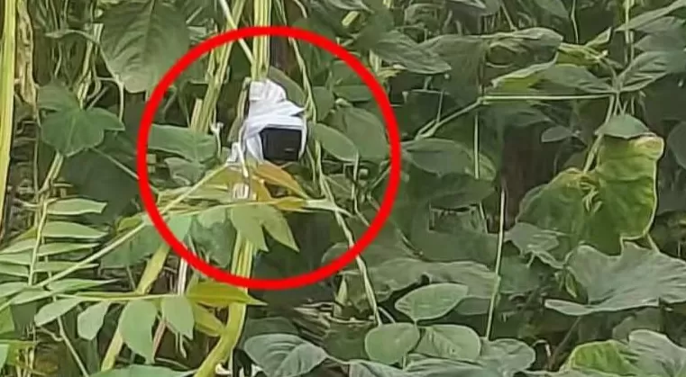 上海荒地现摄像头和12万现金？数小时蹲守后，可疑男子出现-第1张图片-