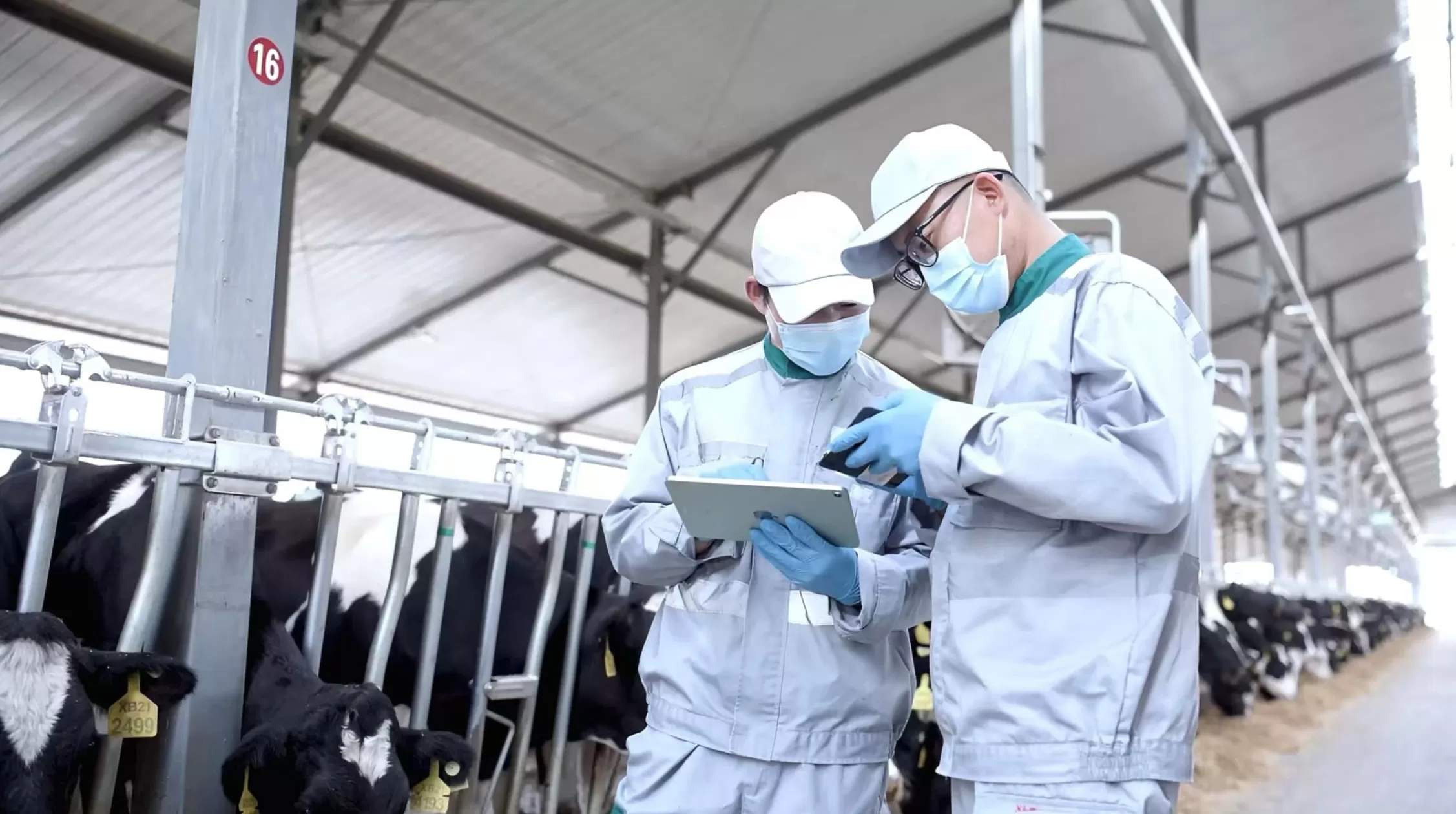 “全勤生”伊利八赴进博之约,谱写从追赶到超越的共赢篇章-第2张图片- “全勤生”伊利八赴进博之约,谱写从追赶到超越的共赢篇章-第2张图片-