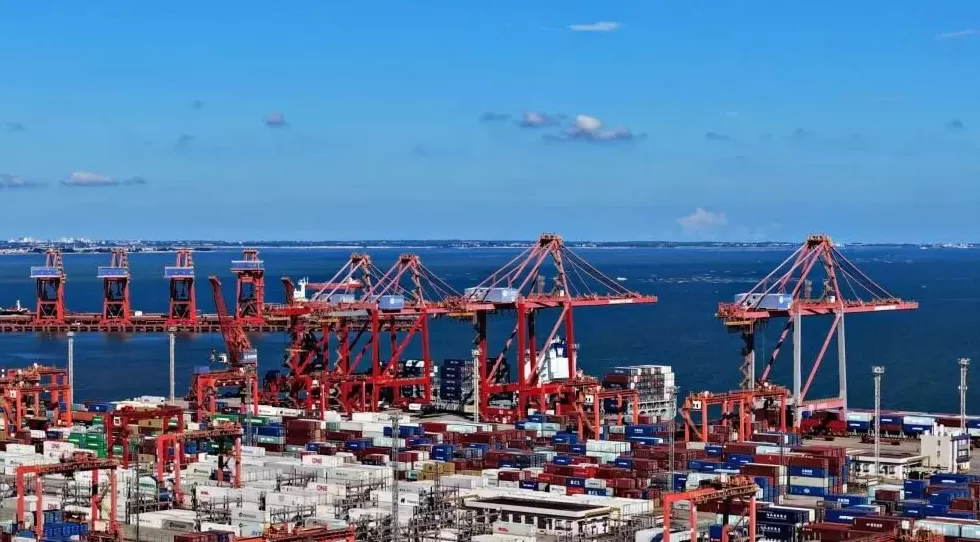 湛江人为何担忧“长此以往，恐港城无港”？-第1张图片-