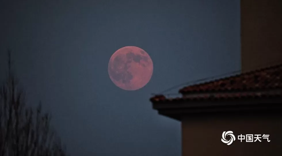 第一波“超级月亮”美图来了-第2张图片- 第一波“超级月亮”美图来了-第2张图片-