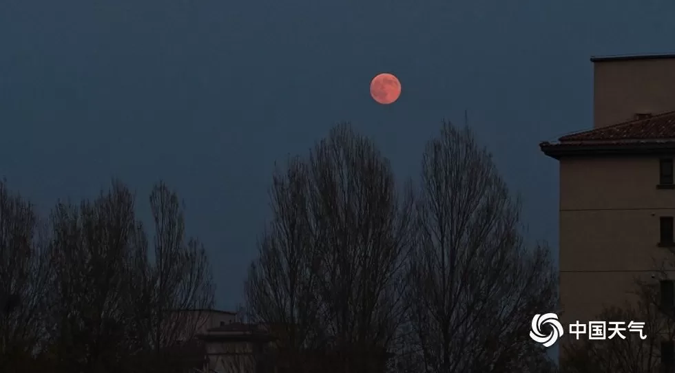 第一波“超级月亮”美图来了-第3张图片- 第一波“超级月亮”美图来了-第3张图片-