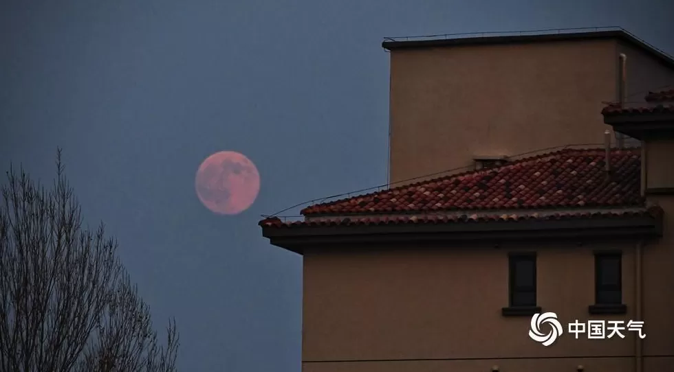 第一波“超级月亮”美图来了-第1张图片- 第一波“超级月亮”美图来了-第1张图片-