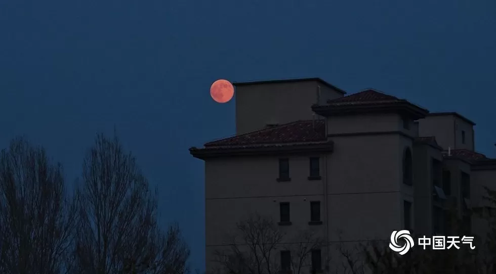 第一波“超级月亮”美图来了-第6张图片- 第一波“超级月亮”美图来了-第6张图片-