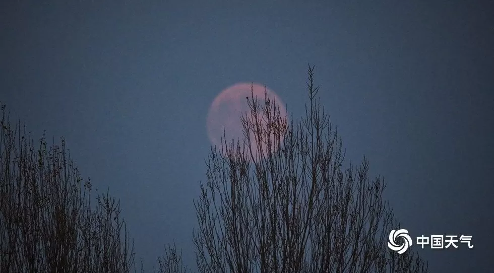 第一波“超级月亮”美图来了-第5张图片- 第一波“超级月亮”美图来了-第5张图片-