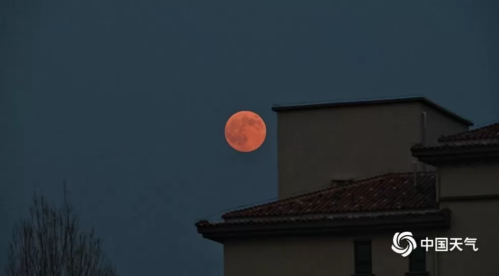 第一波“超级月亮”美图来了-第7张图片- 第一波“超级月亮”美图来了-第7张图片-