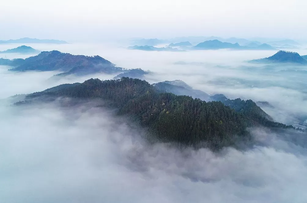 浙江两大国家级自然保护区接连发布禁令,对非法穿越说“不”-第1张图片- 浙江两大国家级自然保护区接连发布禁令,对非法穿越说“不”-第1张图片-