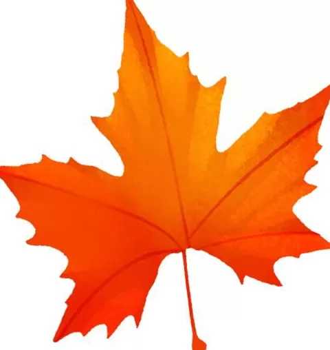 天凉就胃疼,你做错了啥?-第3张图片- 天凉就胃疼,你做错了啥?-第3张图片-