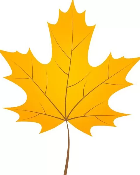 天凉就胃疼,你做错了啥?-第2张图片- 天凉就胃疼,你做错了啥?-第2张图片-