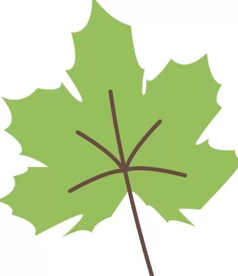 天凉就胃疼,你做错了啥?-第4张图片- 天凉就胃疼,你做错了啥?-第4张图片-