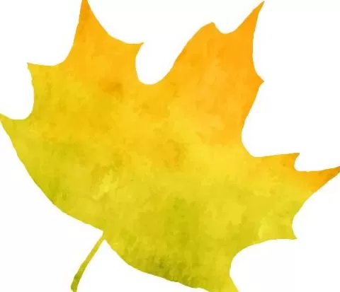 天凉就胃疼,你做错了啥?-第8张图片- 天凉就胃疼,你做错了啥?-第8张图片-