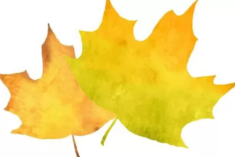 天凉就胃疼,你做错了啥?-第6张图片- 天凉就胃疼,你做错了啥?-第6张图片-