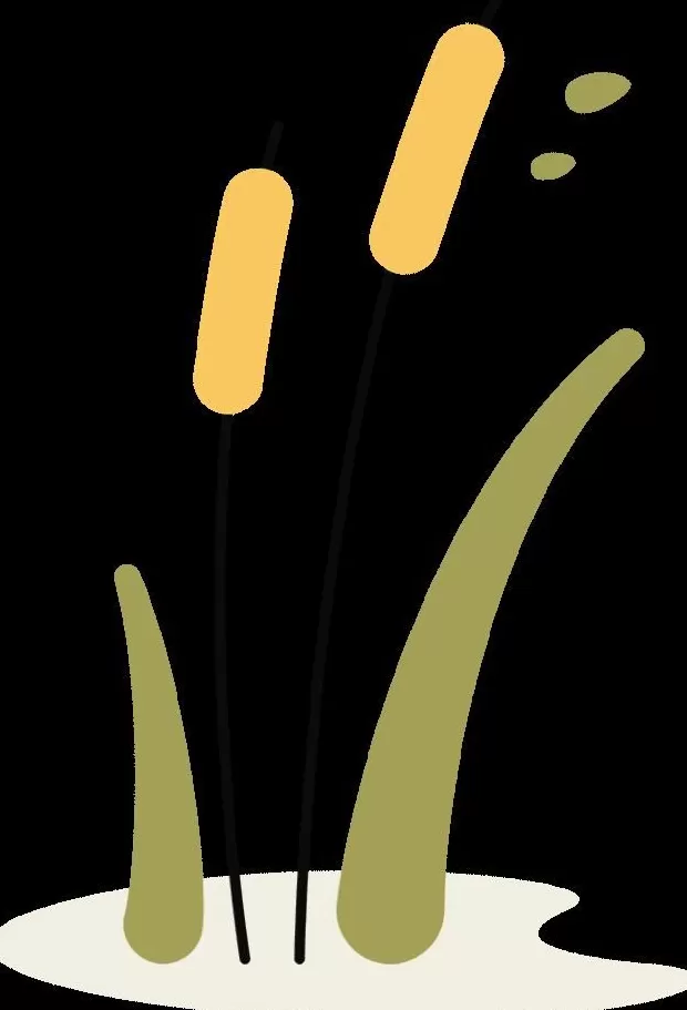 天凉就胃疼,你做错了啥?-第11张图片- 天凉就胃疼,你做错了啥?-第11张图片-