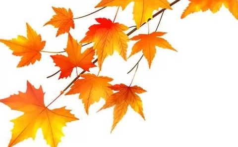 天凉就胃疼,你做错了啥?-第17张图片- 天凉就胃疼,你做错了啥?-第17张图片-