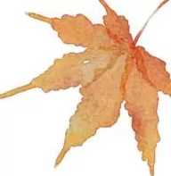 天凉就胃疼,你做错了啥?-第15张图片- 天凉就胃疼,你做错了啥?-第15张图片-