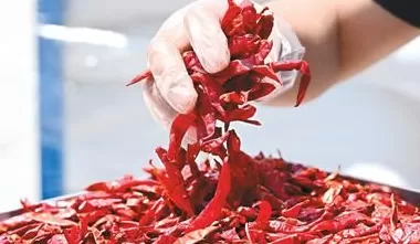 “从手提箱到集装箱，订单规模一路涨”（进博连线）——一位非洲大使眼中的“进博机遇”-第2张图片-