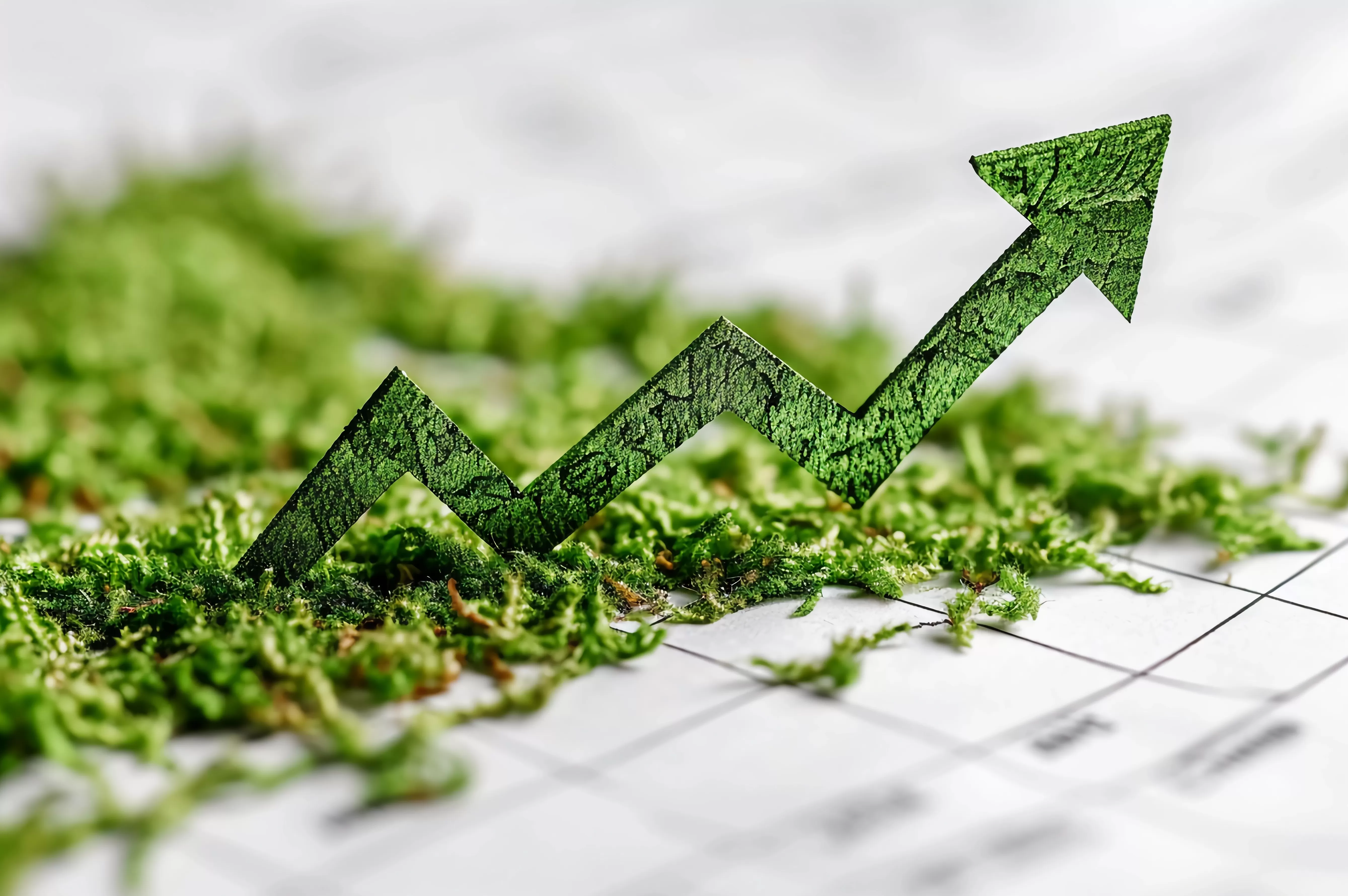 财说| 单季亏损扩大,合锻智能隐患终显-第2张图片- 财说| 单季亏损扩大,合锻智能隐患终显-第2张图片-