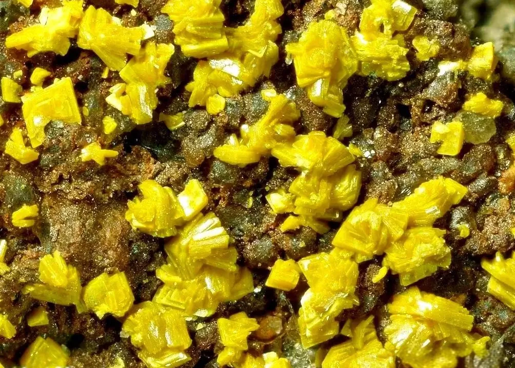 瑞典议会通过议案明年1月1日解禁铀矿开采-第1张图片- 瑞典议会通过议案明年1月1日解禁铀矿开采-第1张图片-