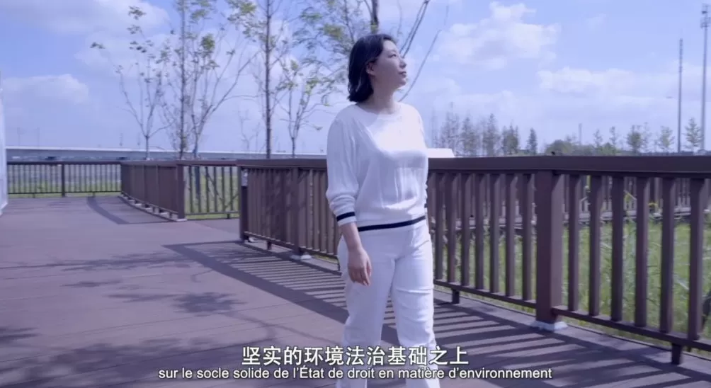 彭峰:环境法治助推建设“美丽中国”|法治的故事・智库说-第4张图片- 彭峰:环境法治助推建设“美丽中国”|法治的故事・智库说-第4张图片-